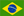 brasilian